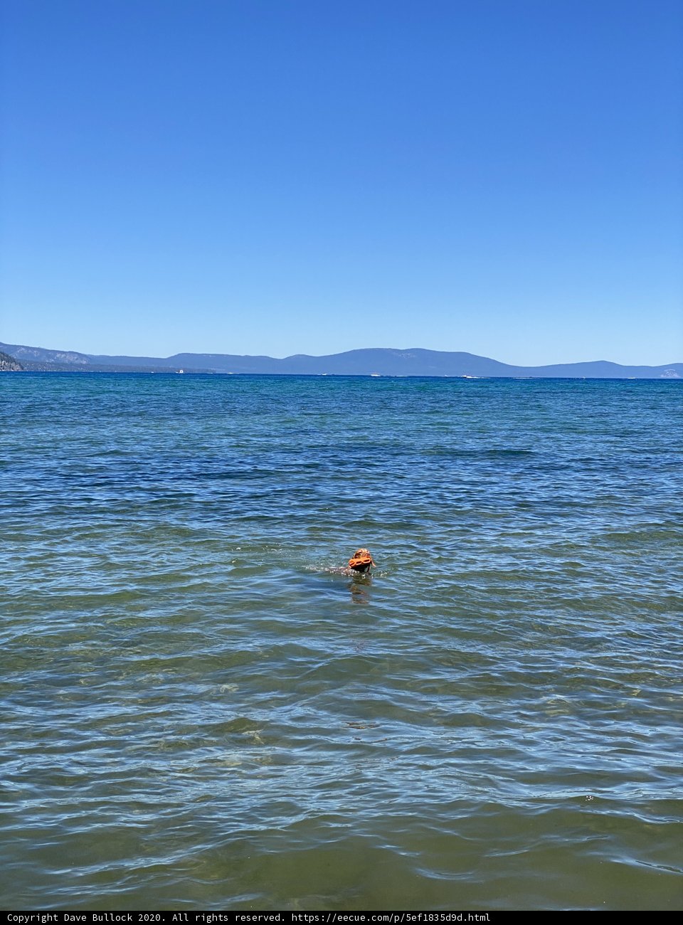The Water is Calling