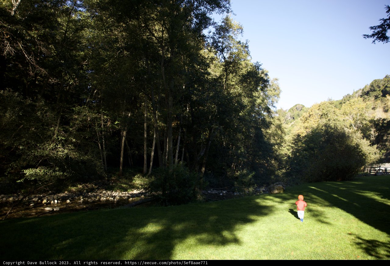 A Dance with the Wind in Big Sur