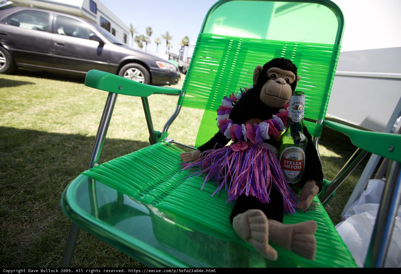 Monkeying Around at Coachella