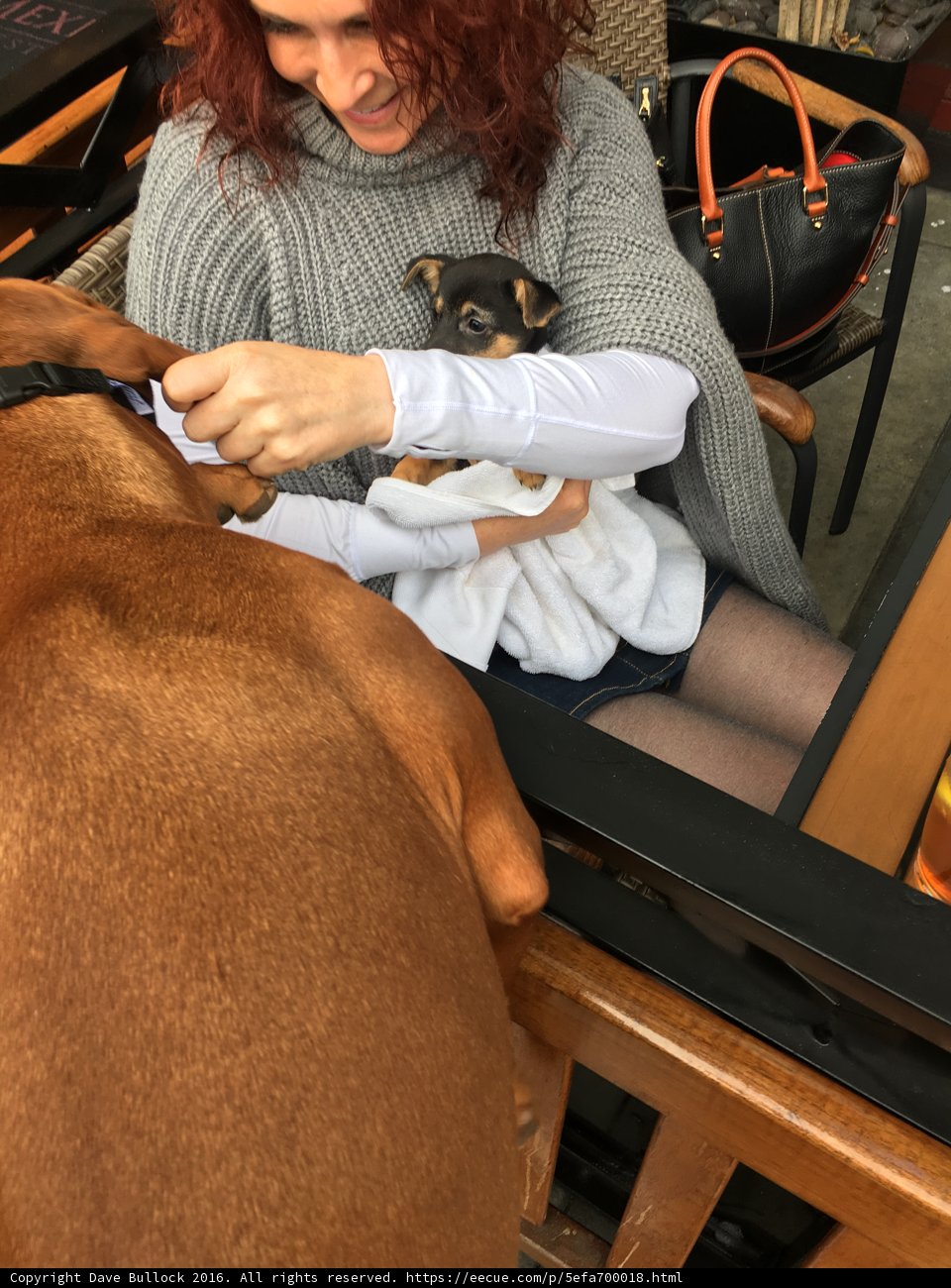 Woman and Dog at the Table
