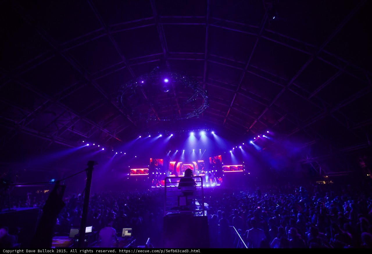 Purple Haze at Coachella