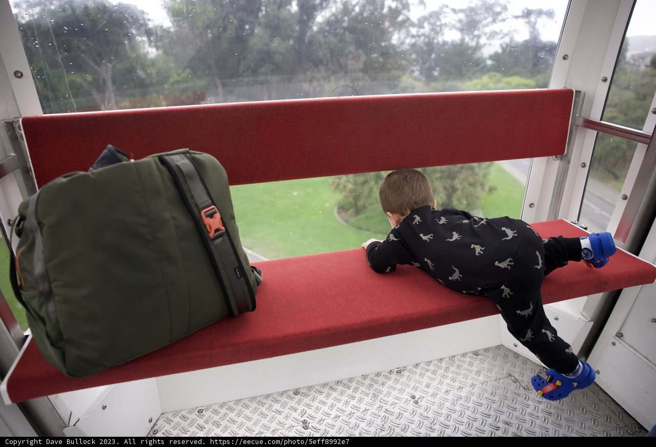 Our Little Adventurer in Golden Gate Park