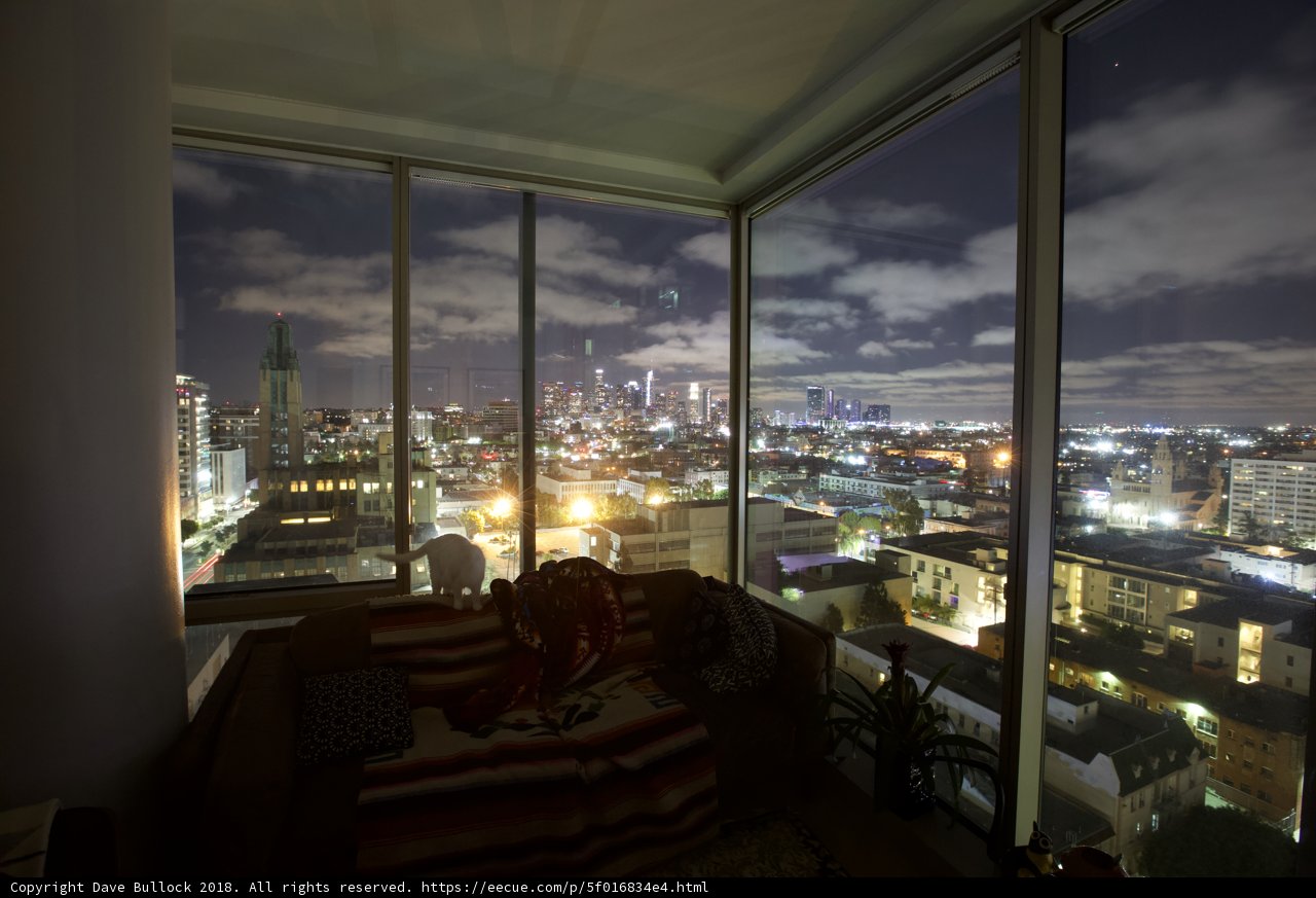 Urban Skyline from the Penthouse