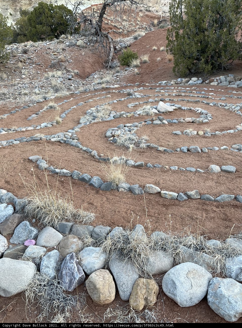 The Spiral Oasis of the Desert