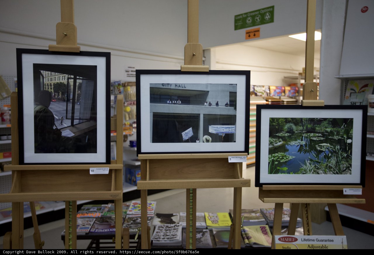 Art Display in a Consumer Electronics Store