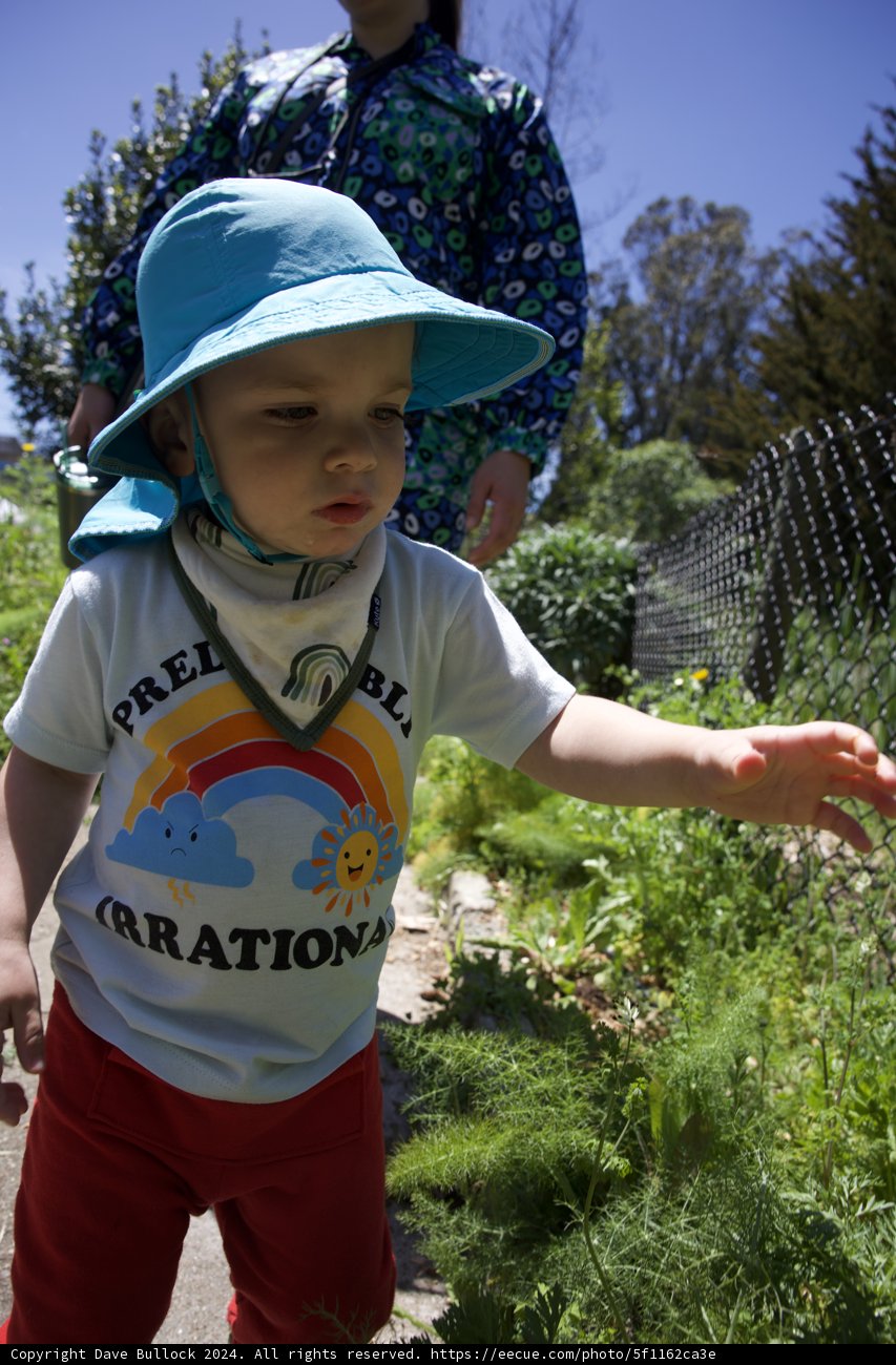 Little Gardener at Work