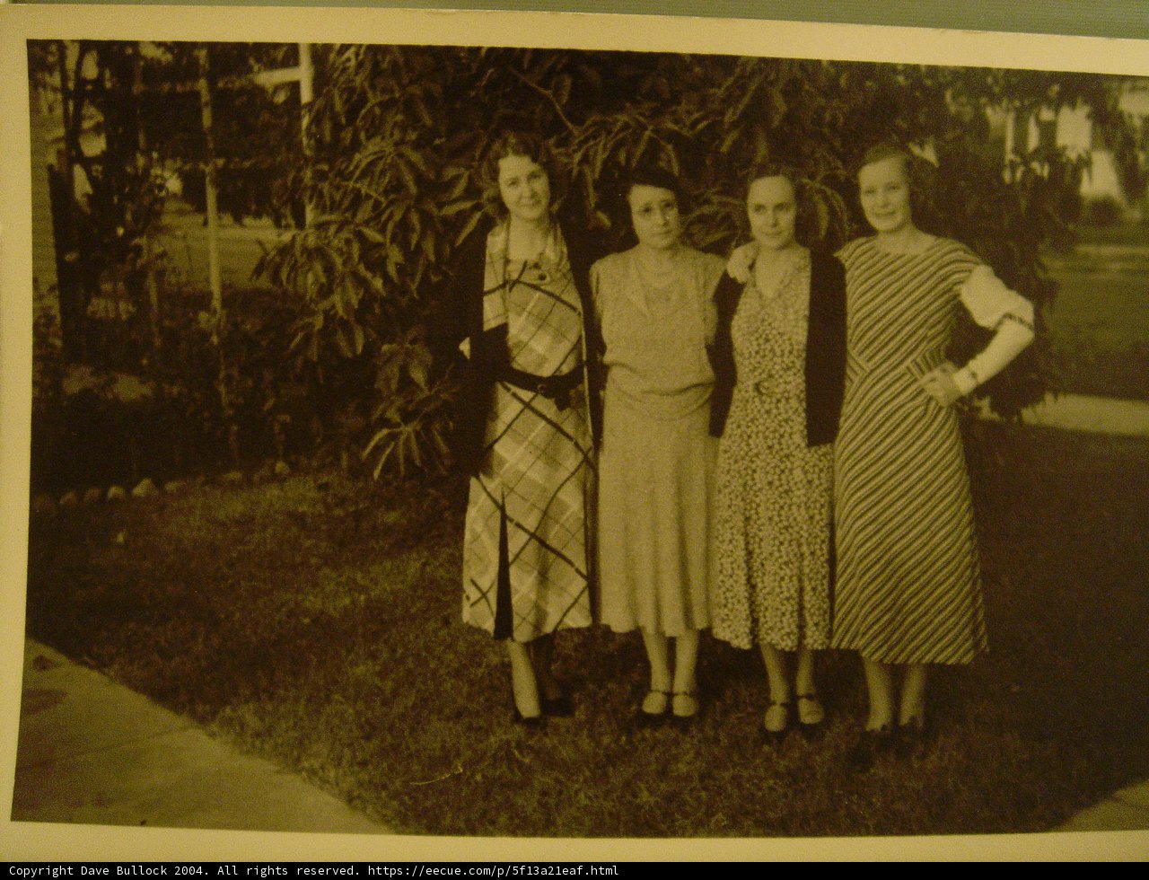 Women in Elegant Dresses Standing in Front of Tree