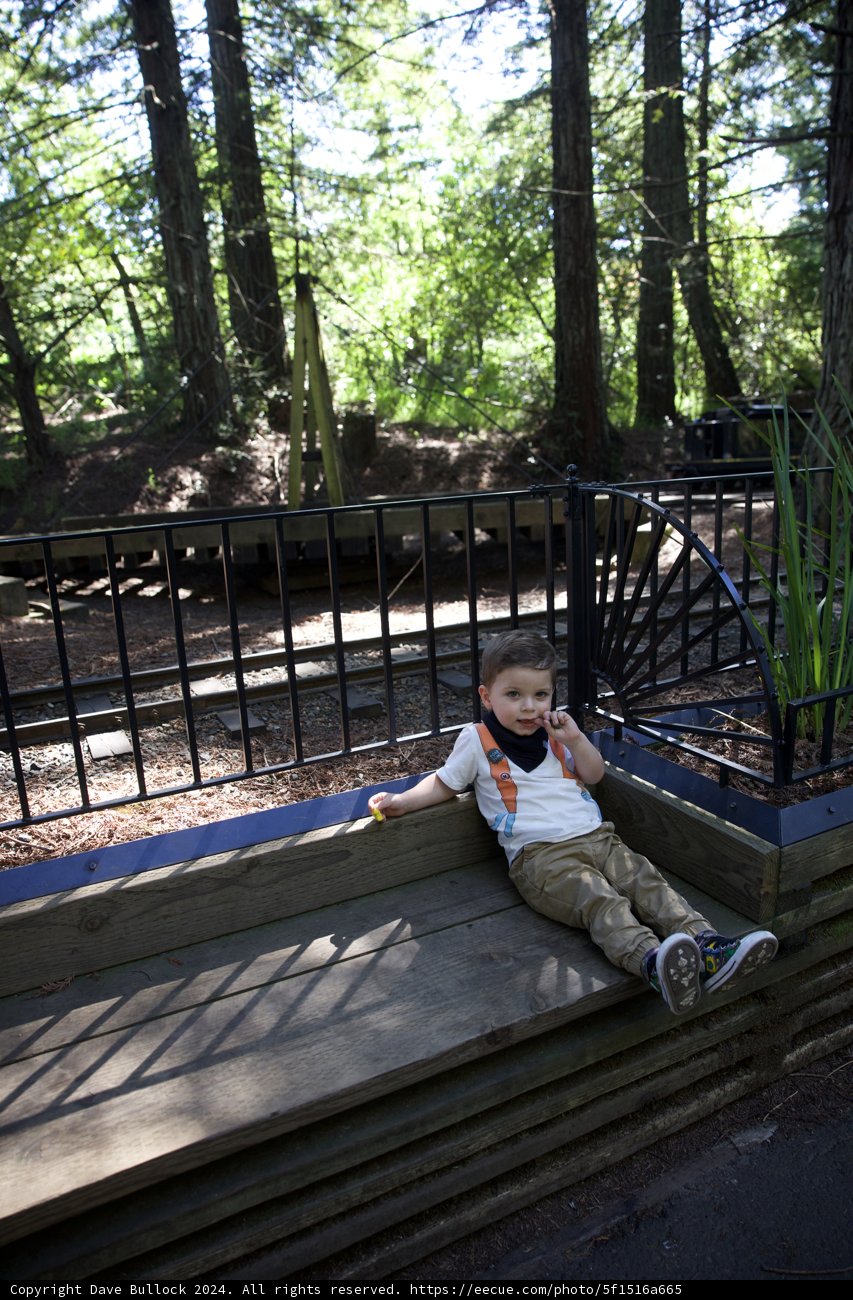 A Moment of Rest Amidst Nature's Playground