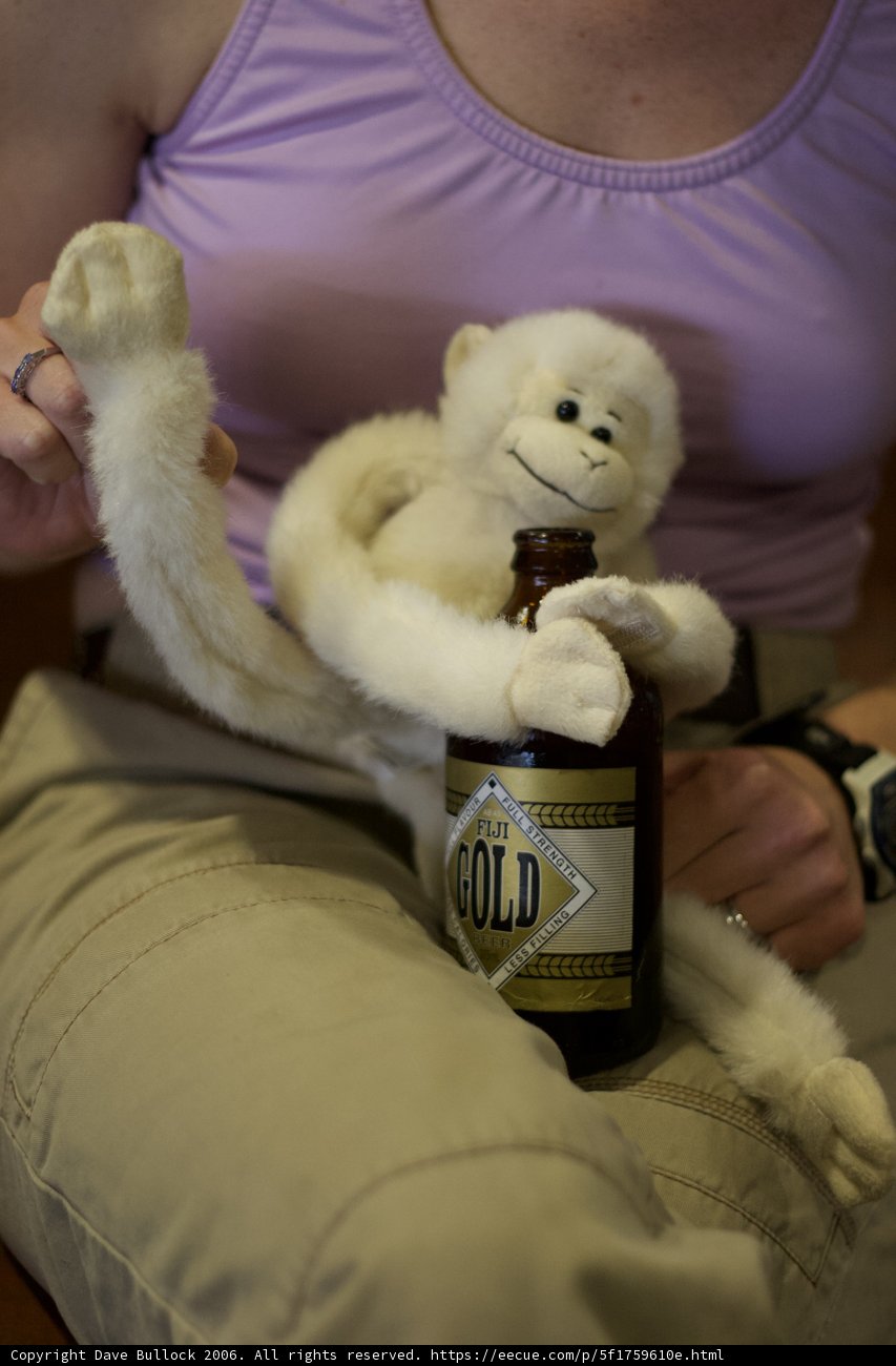 Monkey Business
