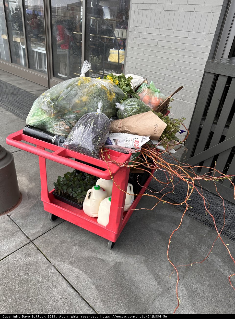 Fresh Finds on a San Francisco Sidewalk