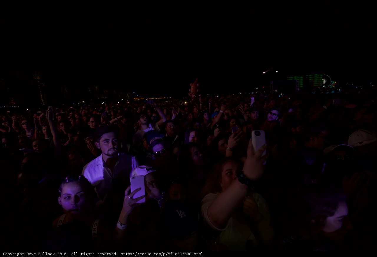 Phone-Friendly Crowd at Coachella