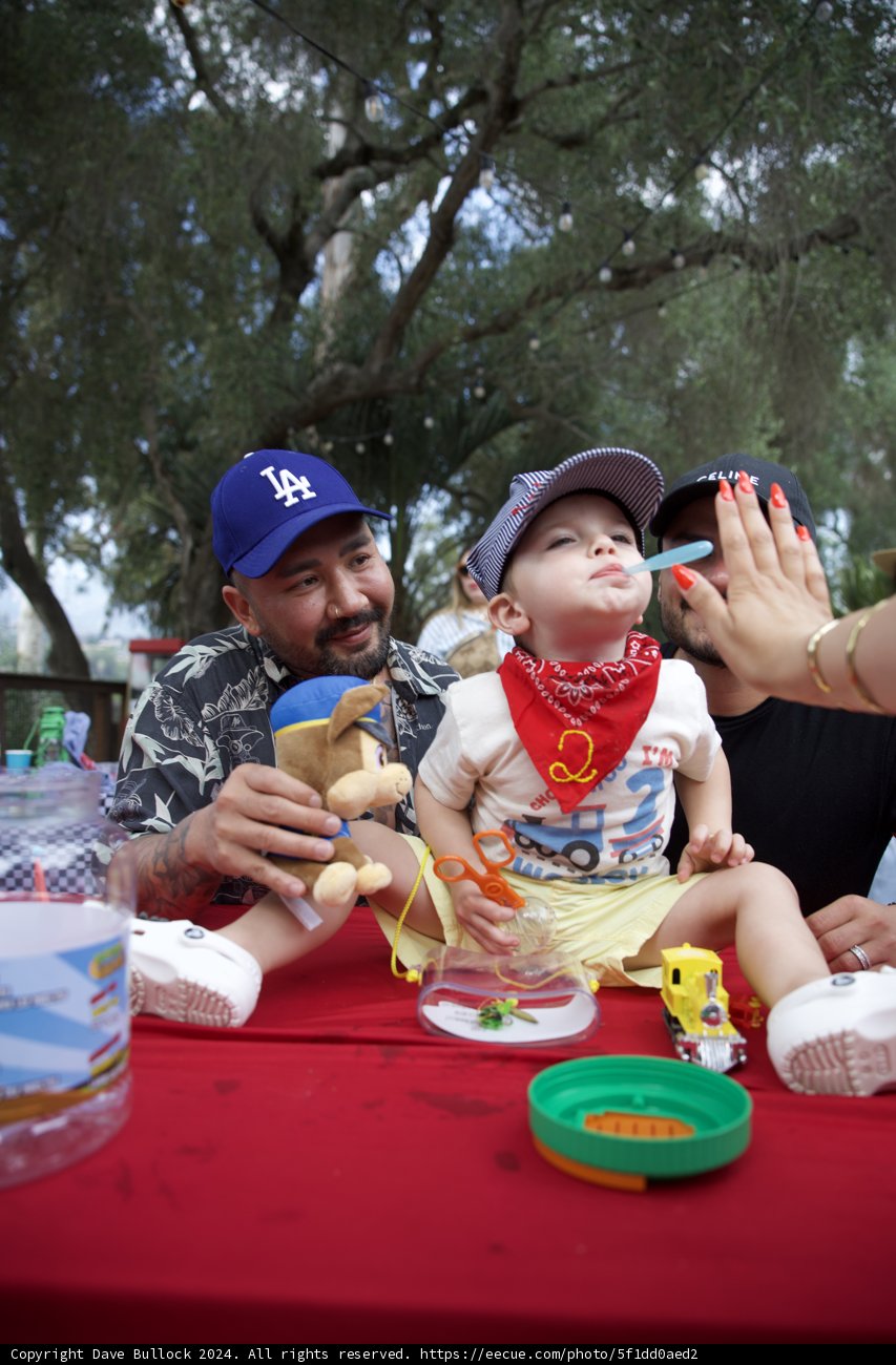 A Joyous Celebration in the Park