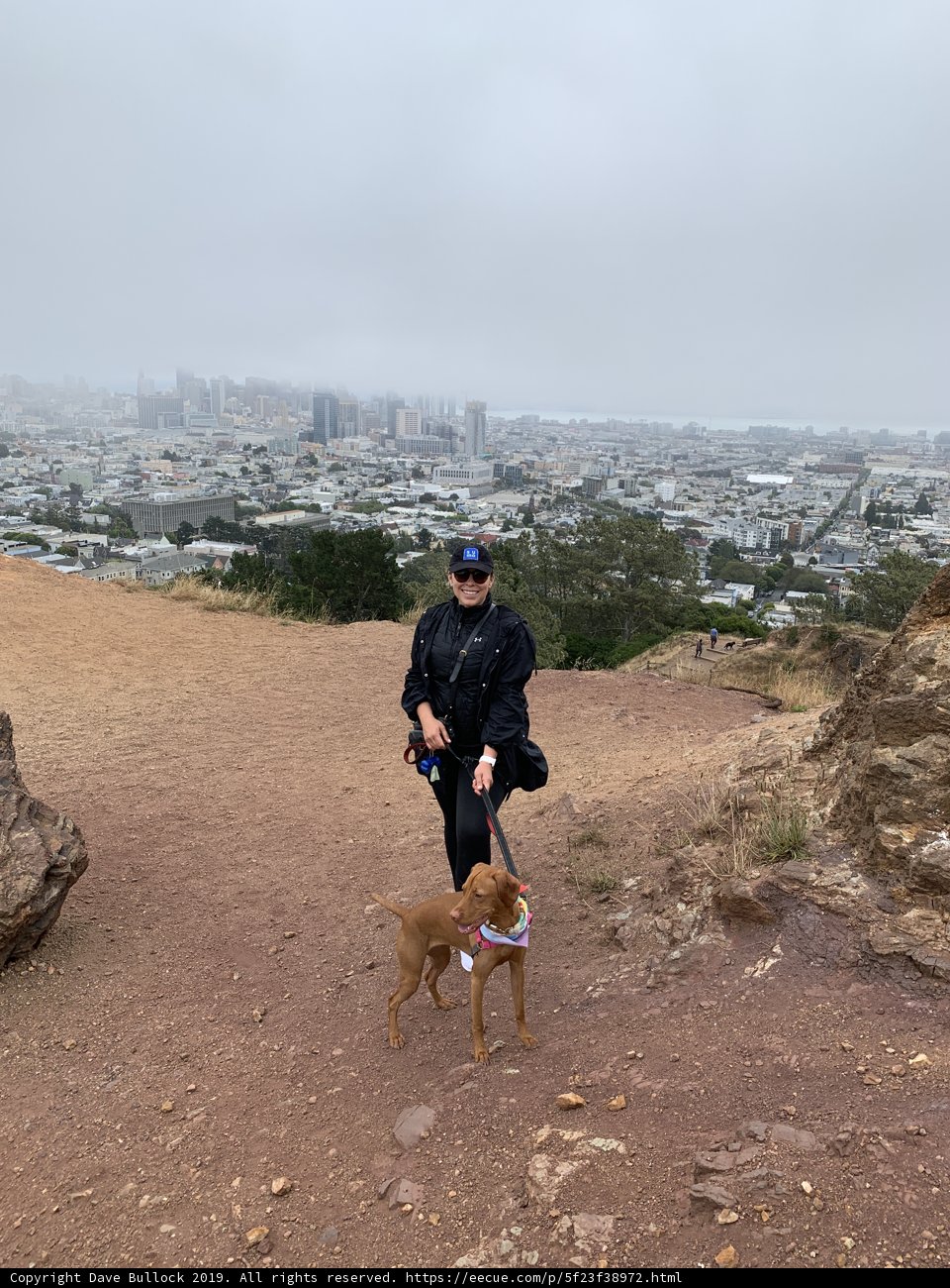 Overlooking the Cityscape