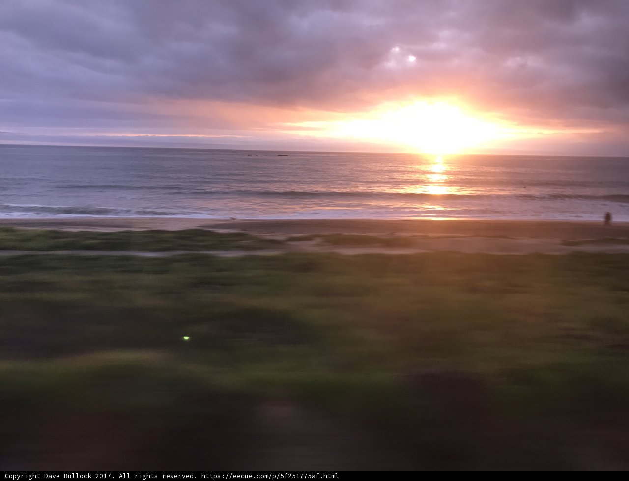 Golden Hour Train Ride