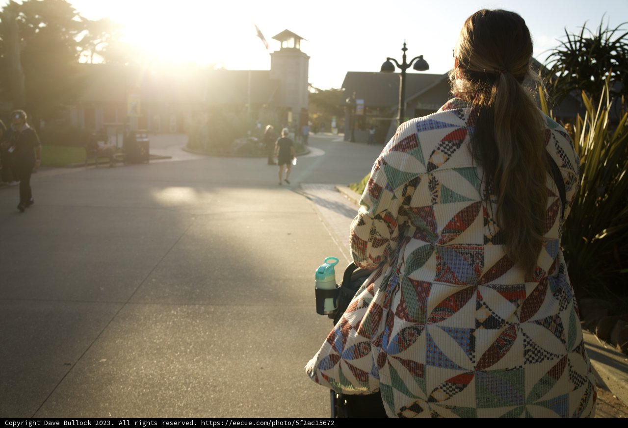 Urban Echoes of Elegance