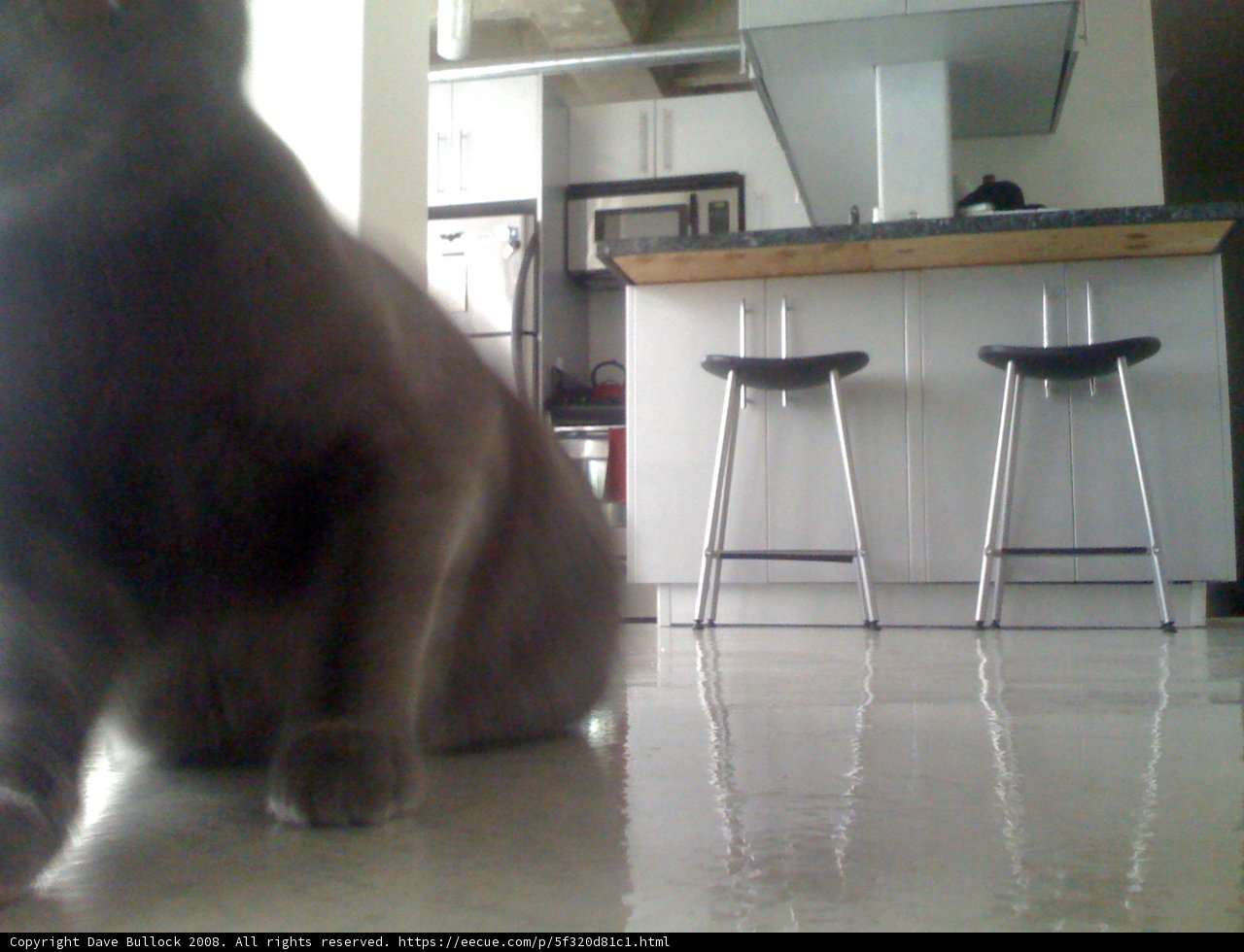 Kitchen Companion