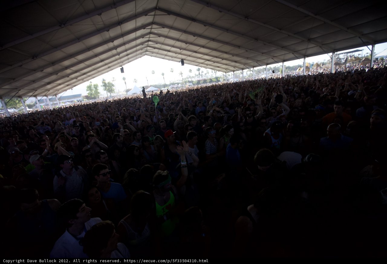 Grooving in the Crowd