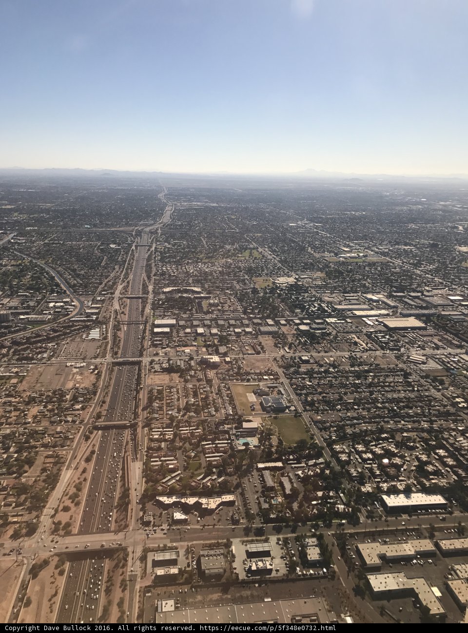 Bird's Eye Phoenix