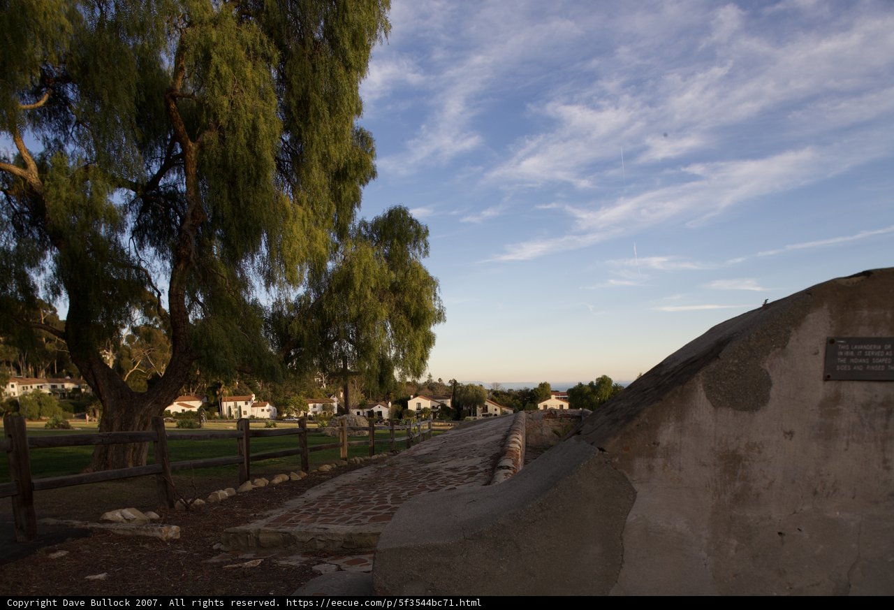Majestic Willow Tree at Santa Barbara Mission