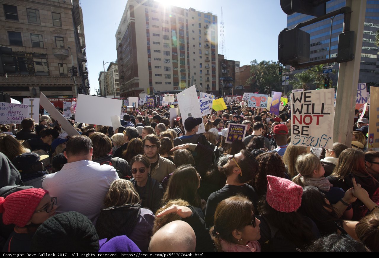 Women's March in Los Angeles