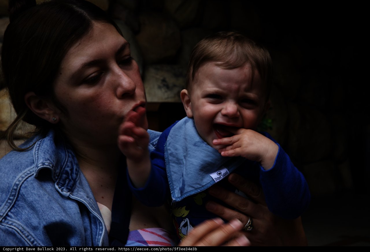 Joyful Moments at Disneyland