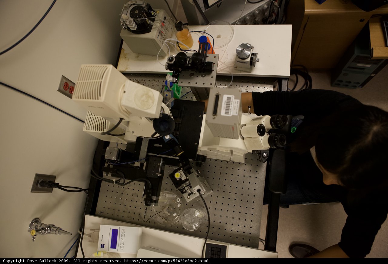 Microscopic Analysis