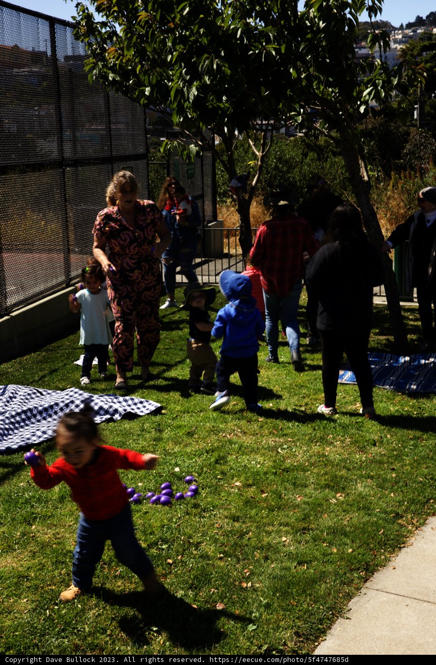 Wesley's First Birthday Outdoor Celebration