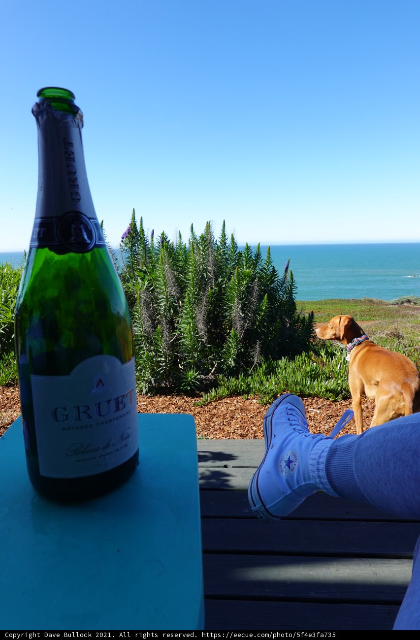 Bubbles and Best Friends