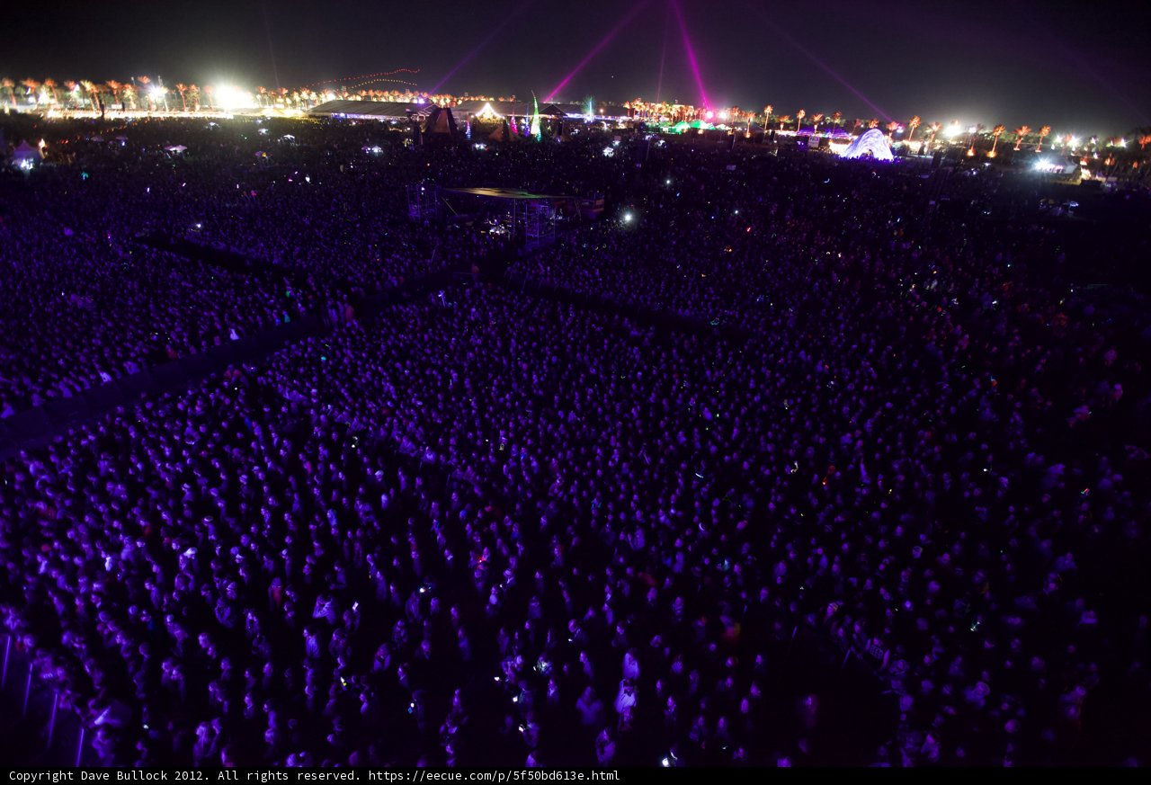 Purple Haze