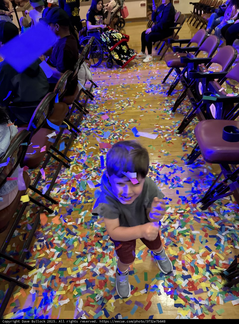 Confetti Celebration
