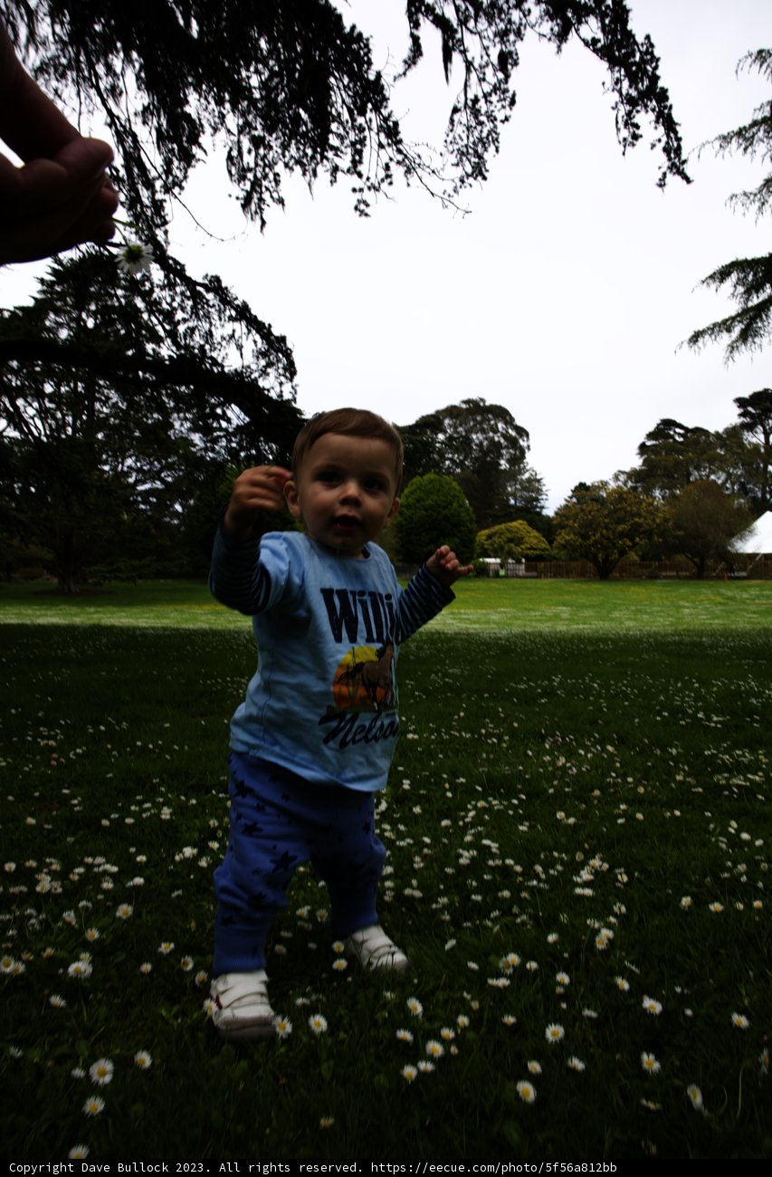 A Delightful Day at San Francisco Botanical Garden