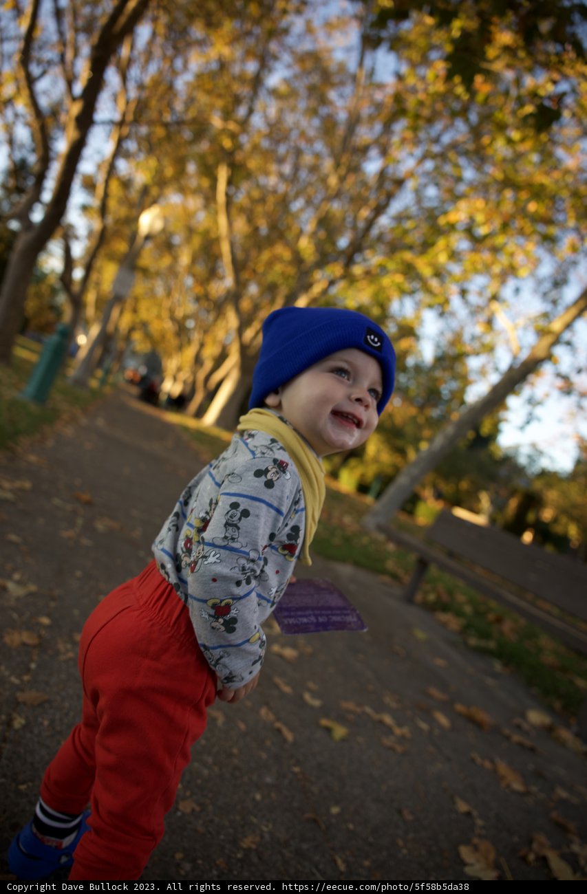 Wesley's Day Out in Downtown Sonoma