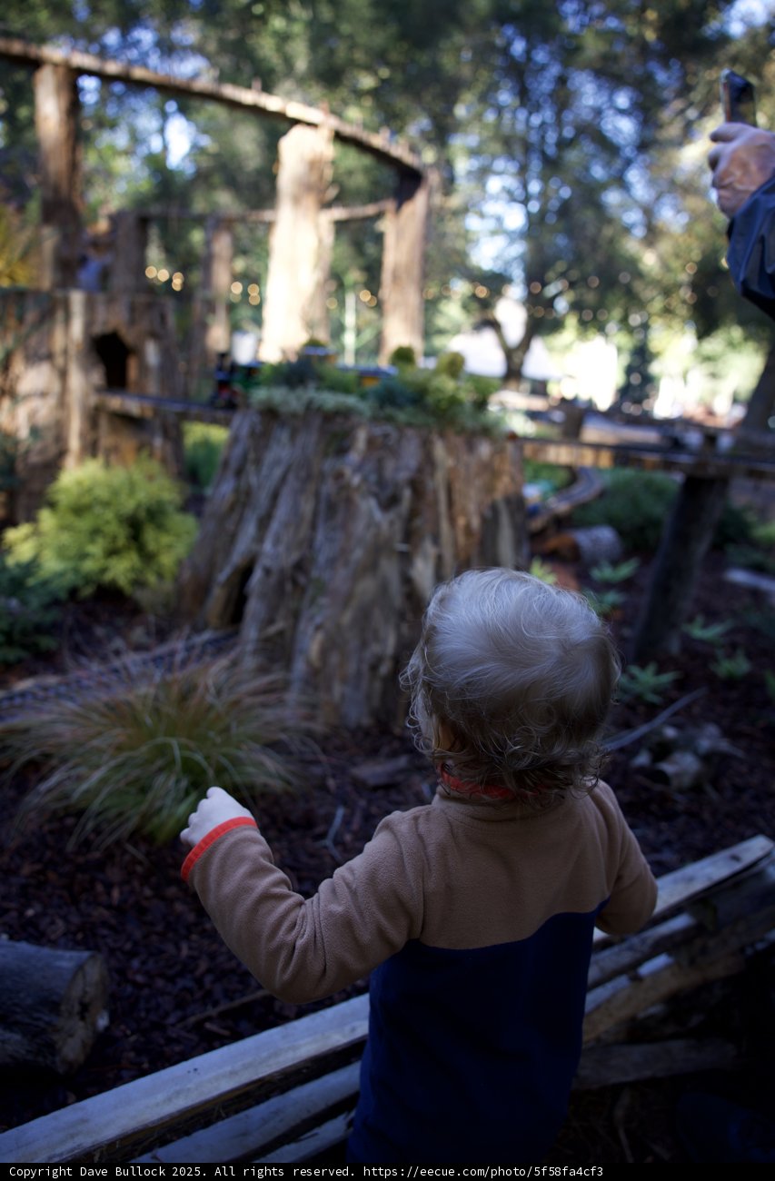 Exploring Thistlewyck: A Child's Wonder