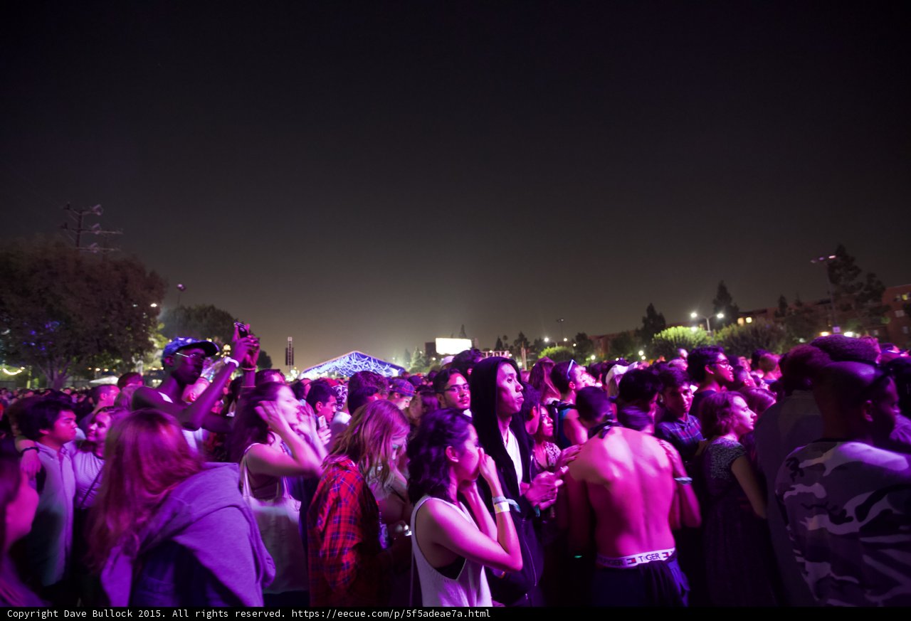 Festival Crowd Purple Glow