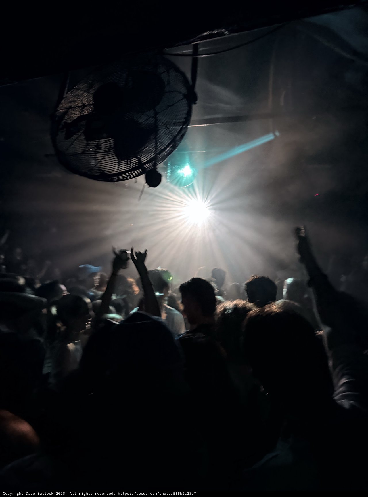 Crowd Bathed in Dramatic Stage Lights at Night Concert