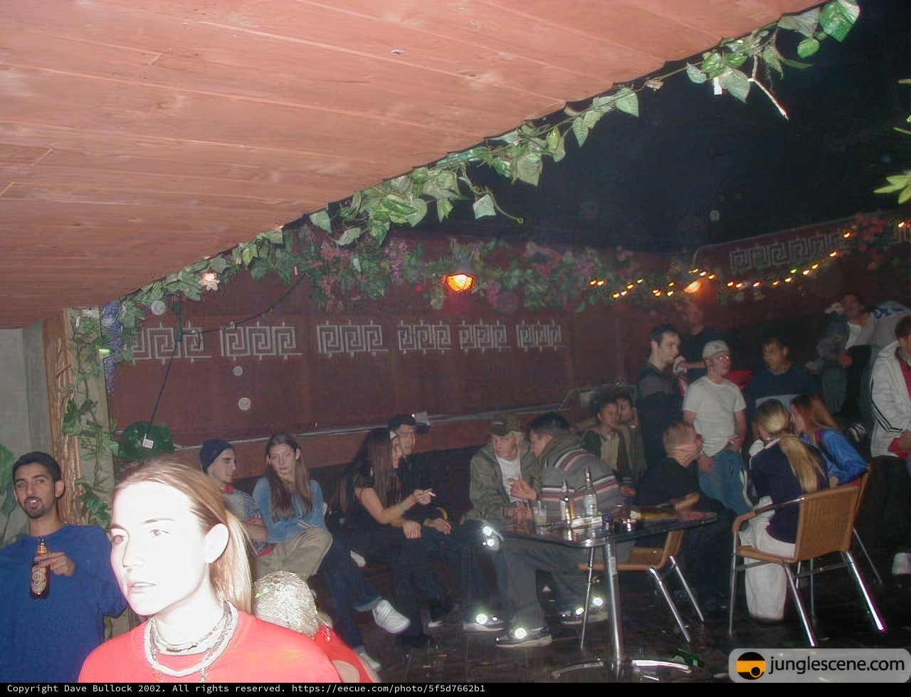Nightclub Concert Vibes