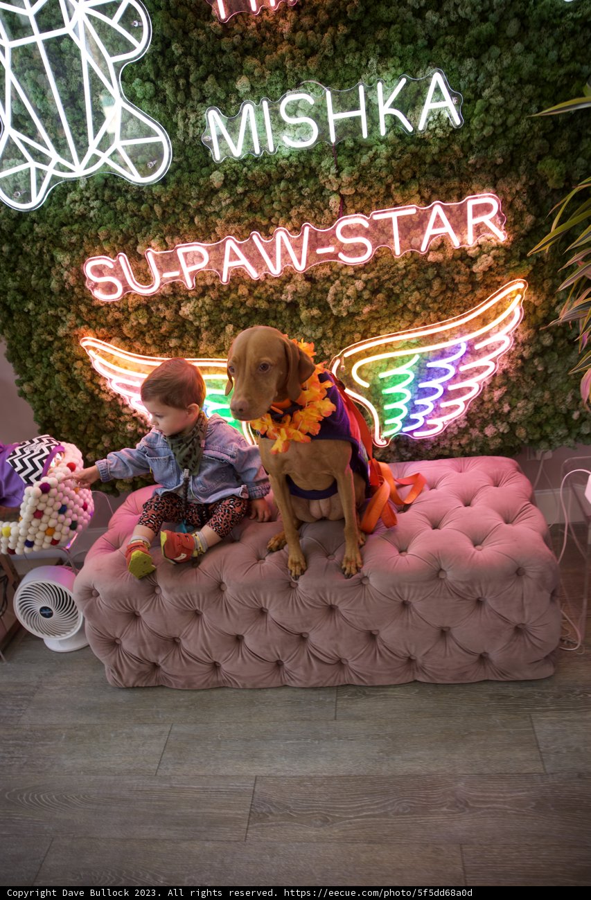 A Neon Birthday Sparkle