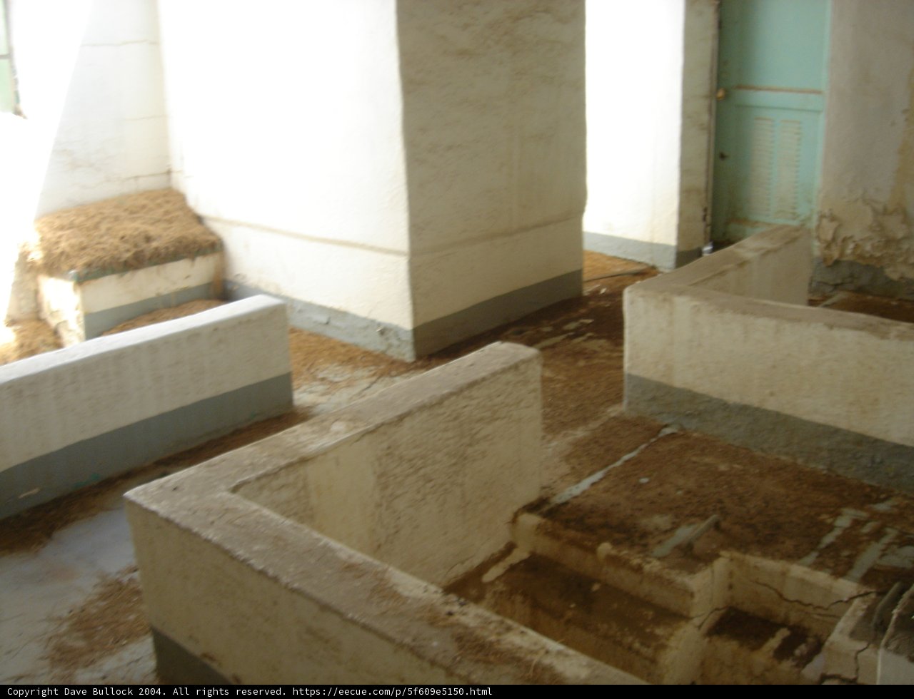 Uncovering Ancient Mysteries
