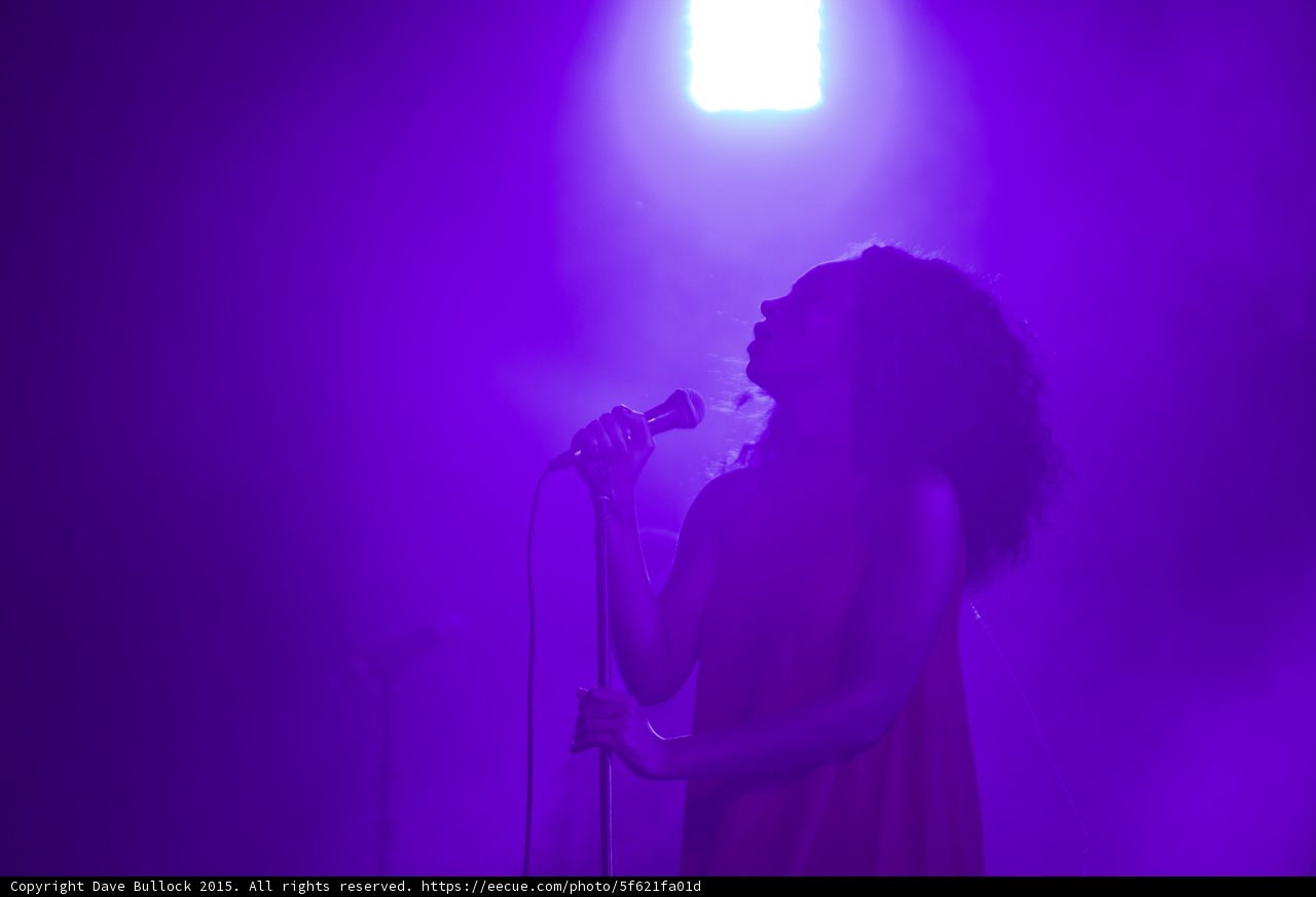 Florence Welch Head Tilted Back Silhouette Purple