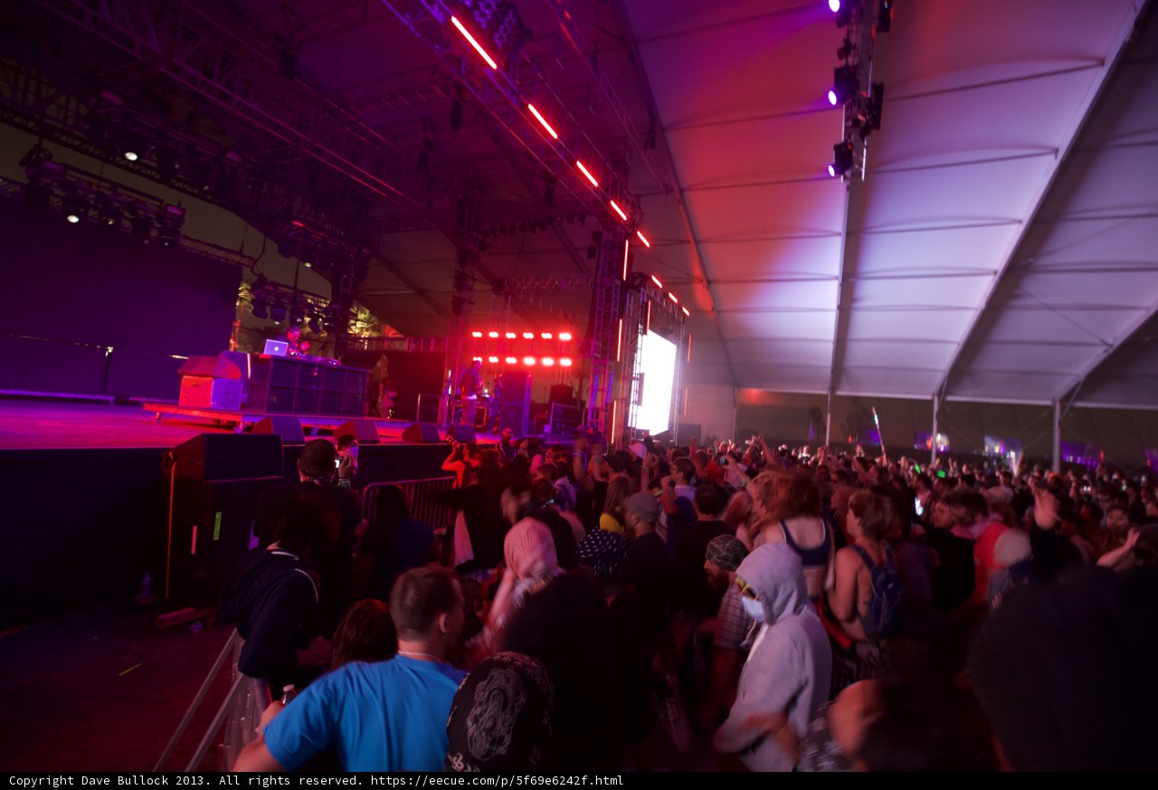 Coachella Nights
