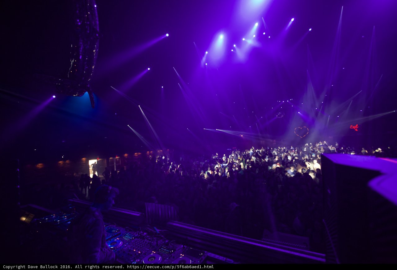 Electric Nightlife at Coachella
