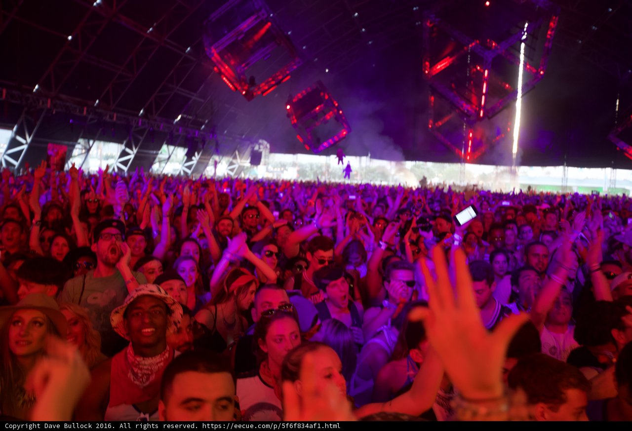 Hands Up at Coachella
