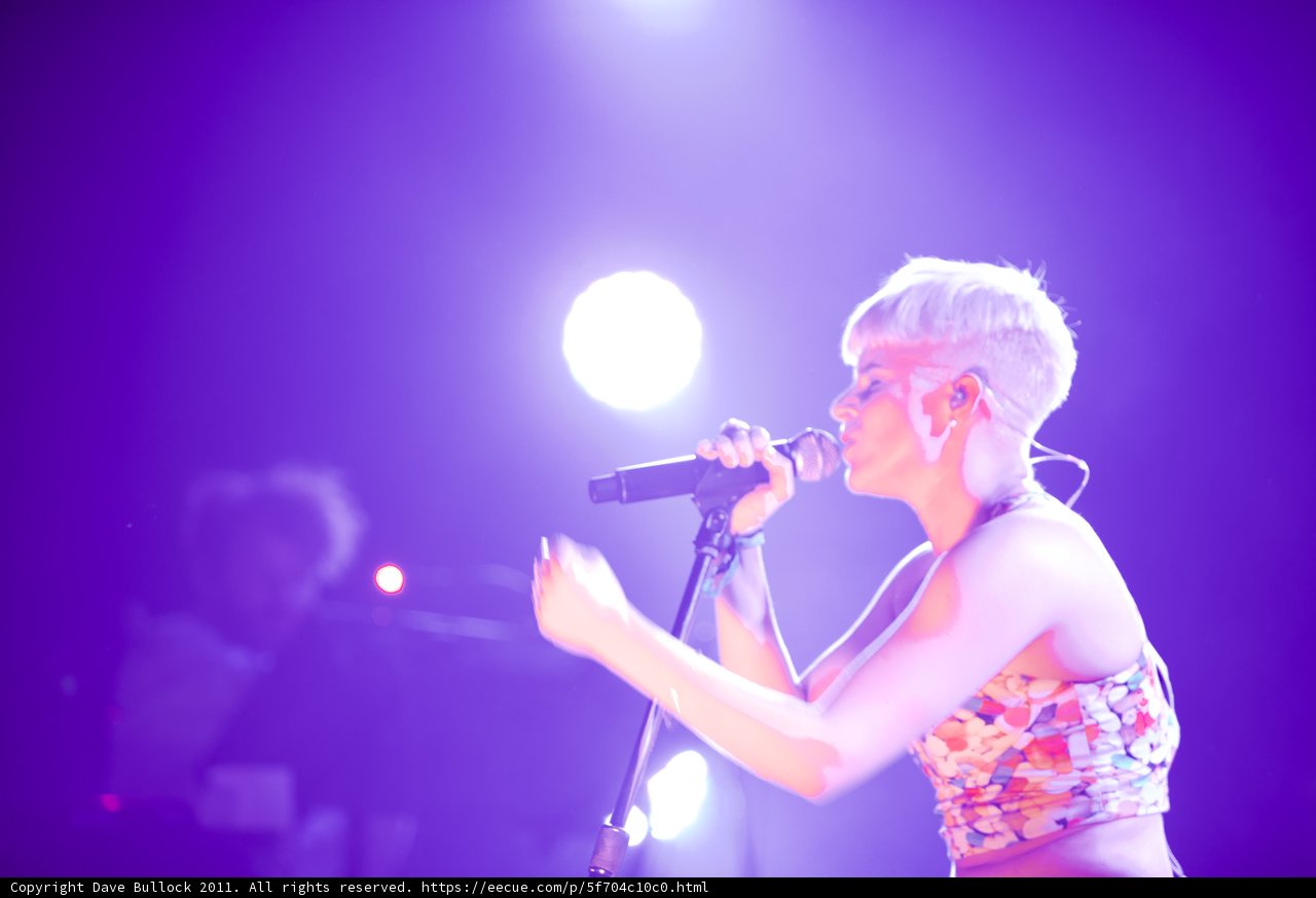 Pink Shines at Vancouver Music Fest