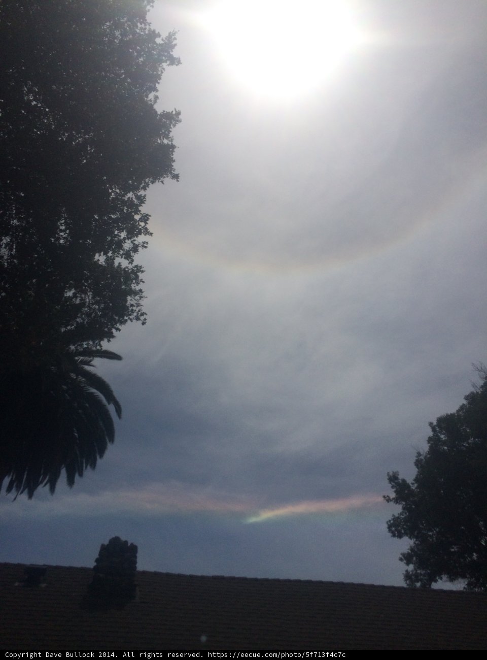 Radiant Rainbow Halo