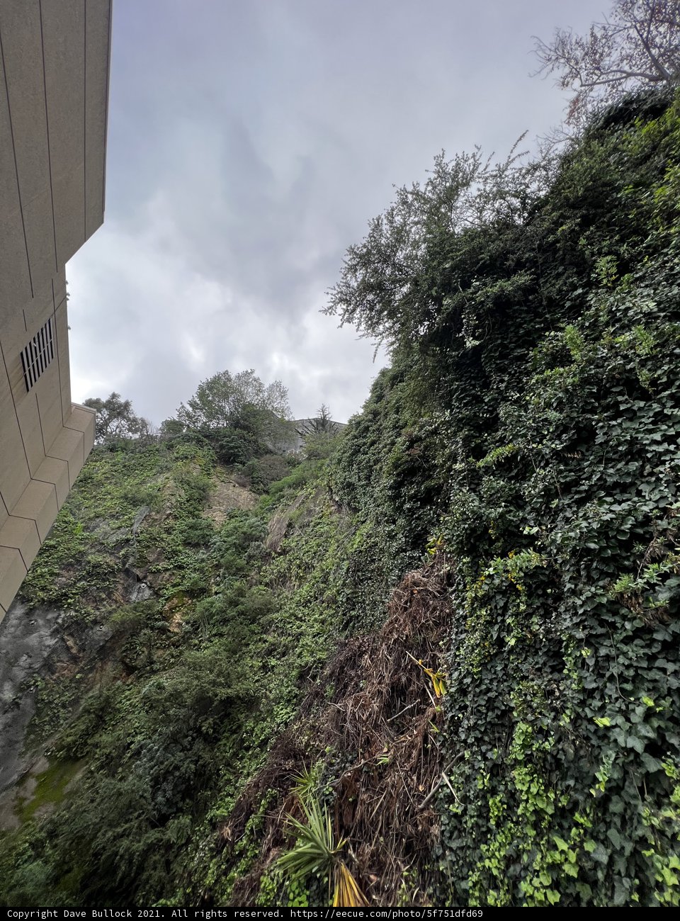 Nature Takes Over