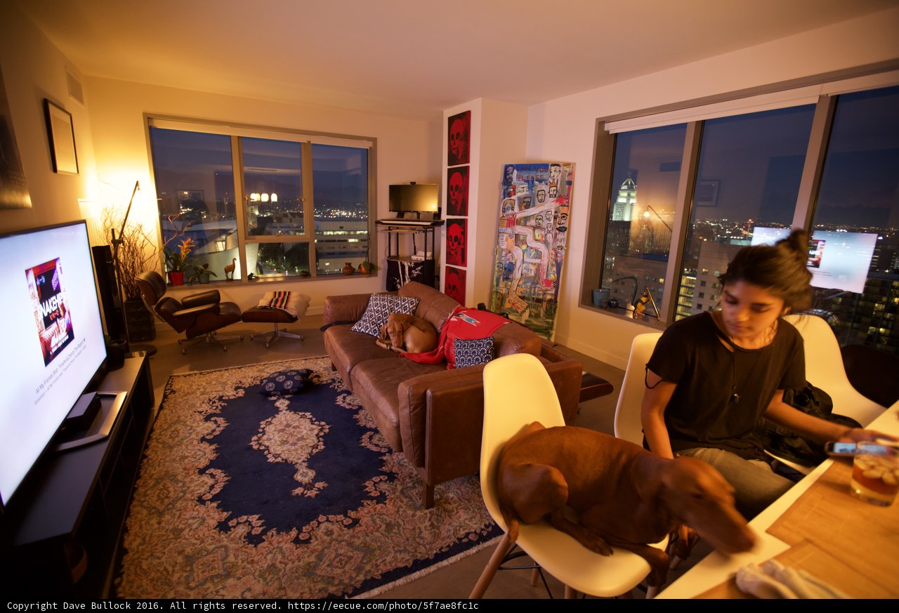 Relaxed in the Living Room