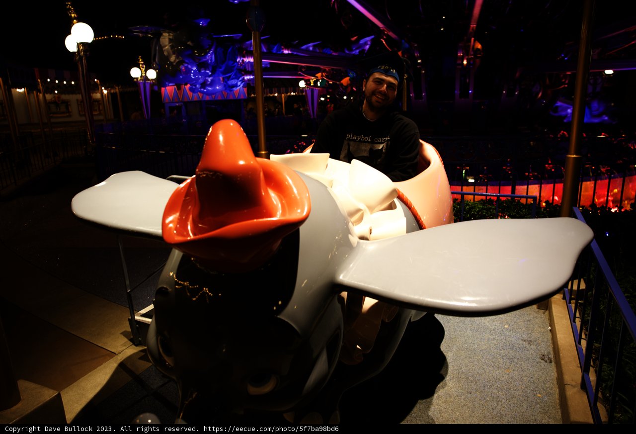 A Night of Whimsy at Disneyland