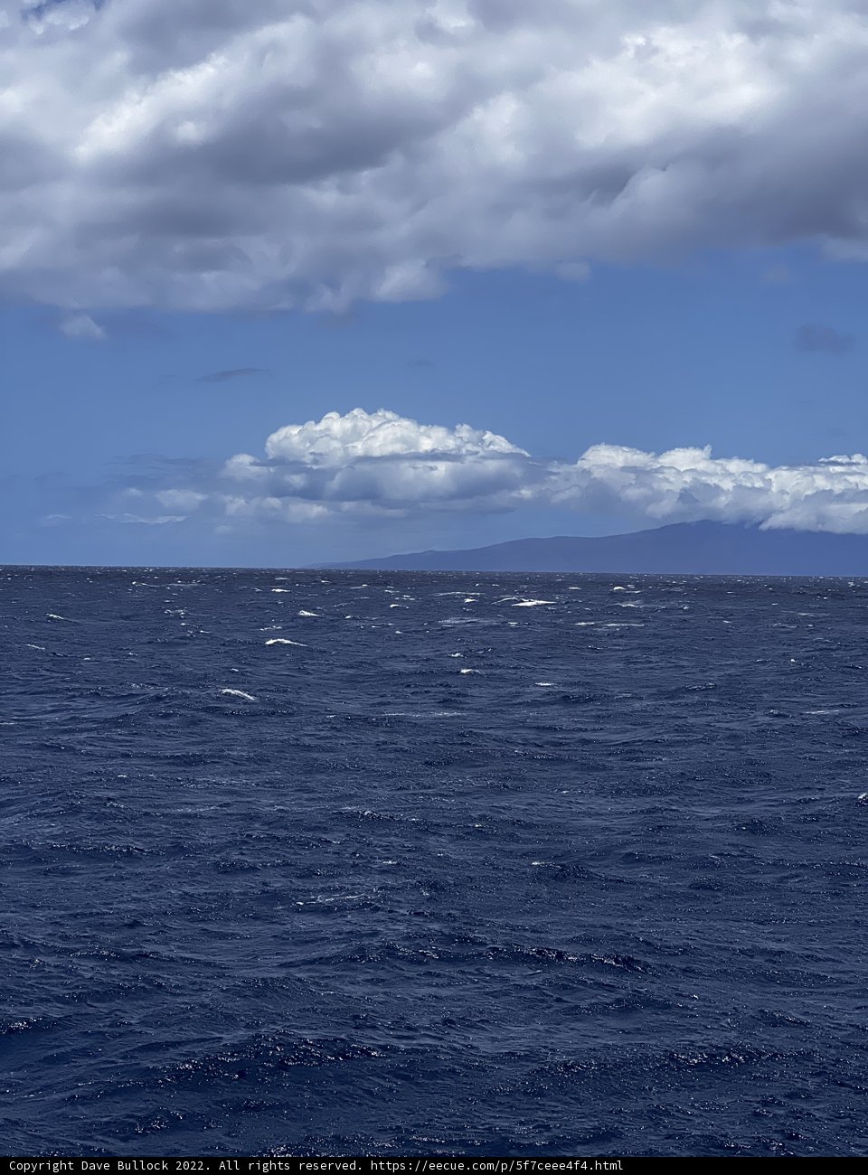 Majestic Ocean View