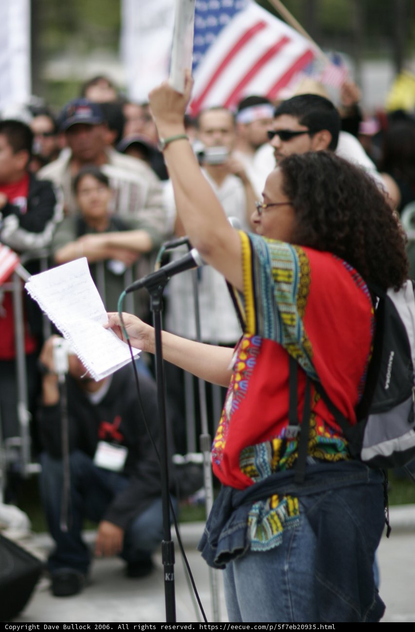 Voice of the Movement
