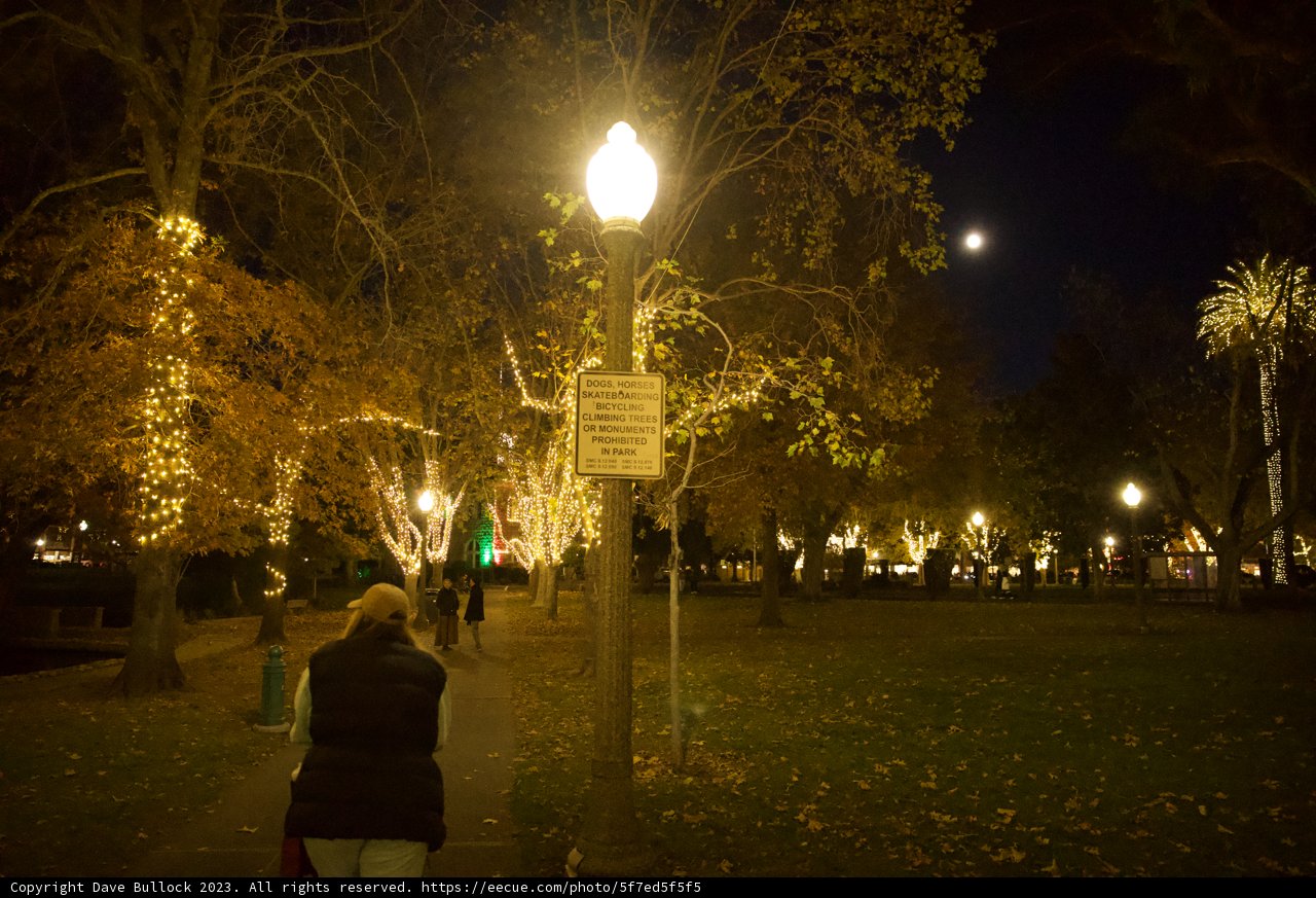 Lamplight Wanderer: The Essence of Sonoma Nights